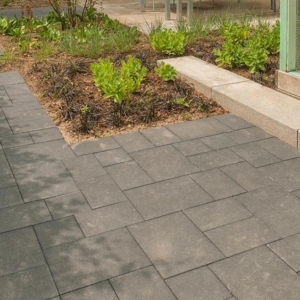 Terras+ Wilderverband Nero 4 cm dicke